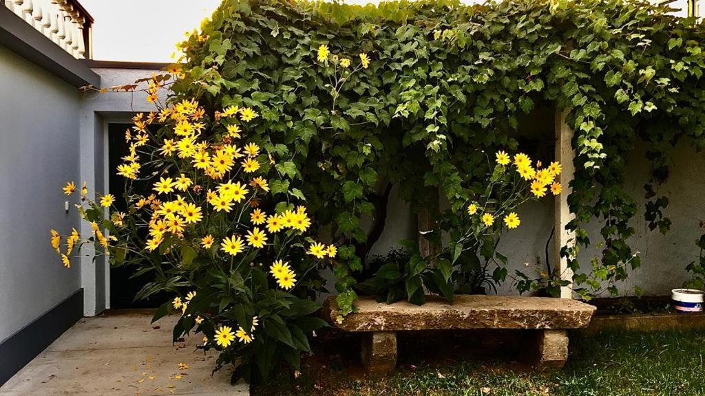 Casa Às Dez Angra do Heroísmo Exterior foto
